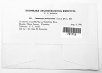 Image Associated With the Occurence